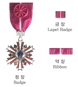 Reserve Forces Merit Medal